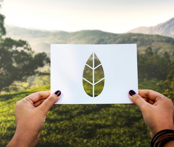certificazioni-biocompatibilit-green.jpg