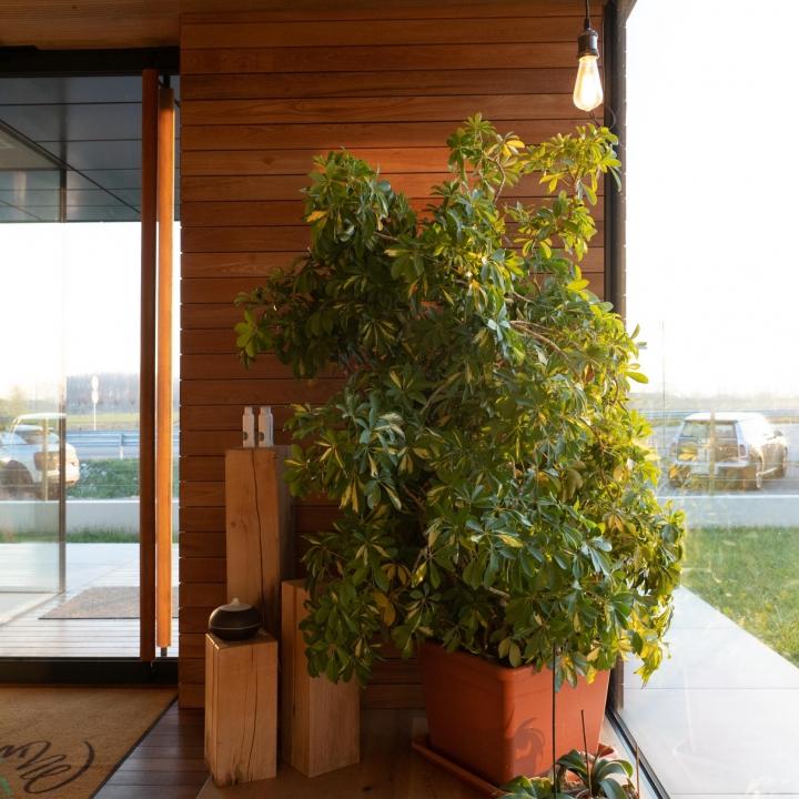 showroom-panda-wood-6.jpg